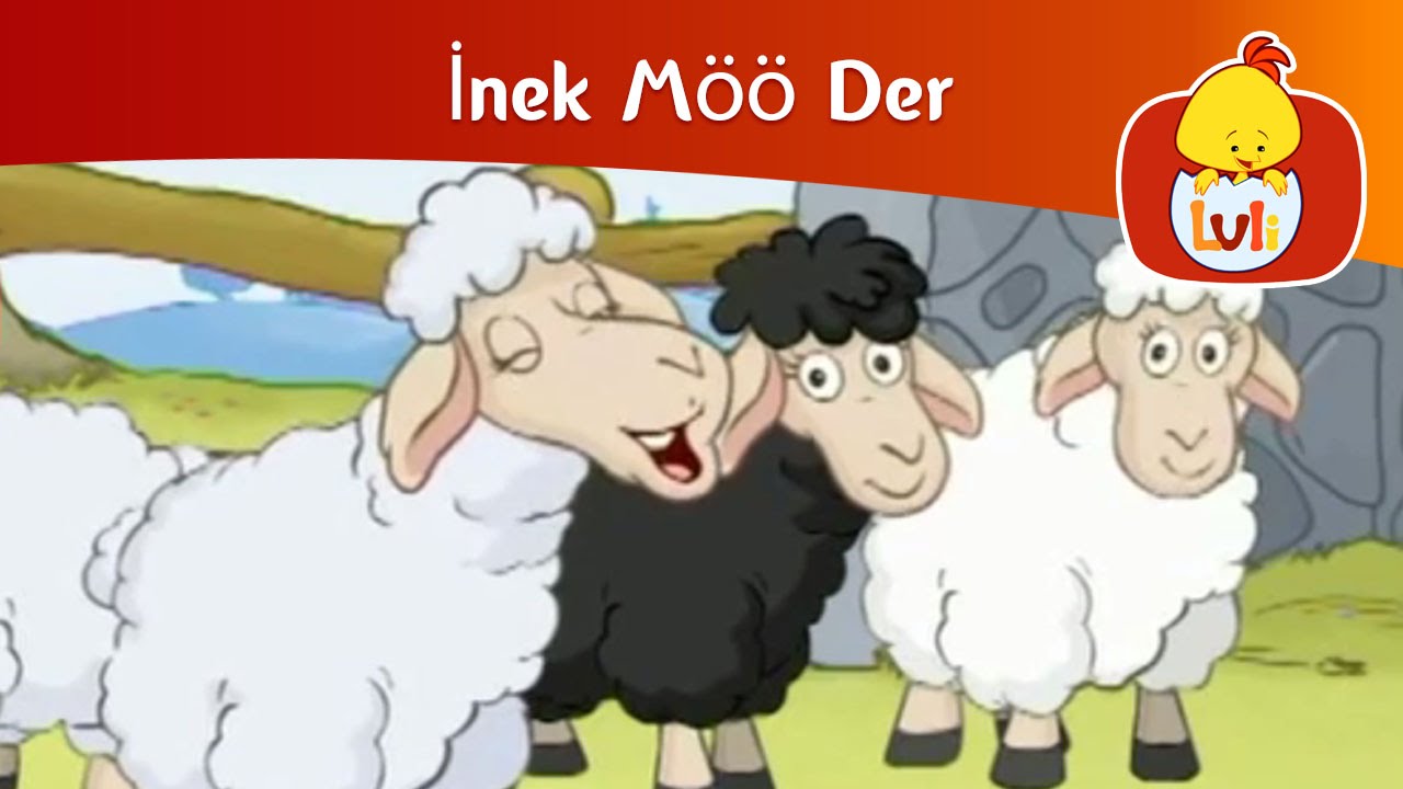 İnek Möö Der - Koyun, Luli TV