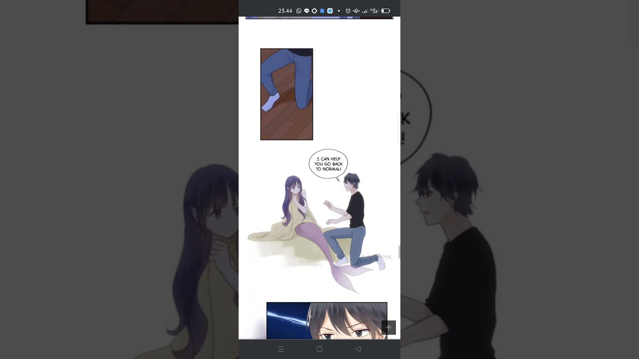 Mermaid transformation 3