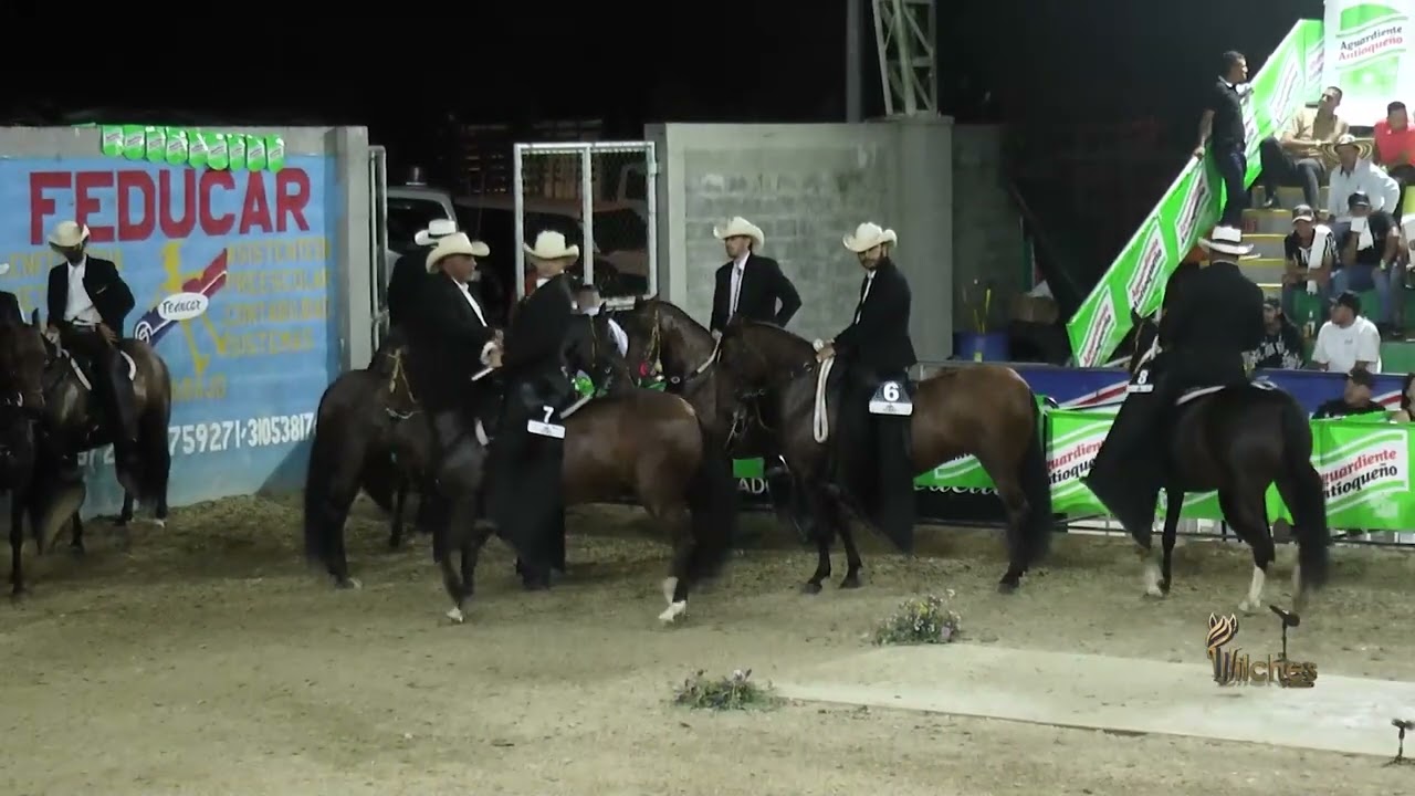 MODELO MJ DE LA CONQUISTA, GRAN CAMPEONA RESERVADA TROCHA COLOMBIANA  LA VIRGINIA GRADO B 2026