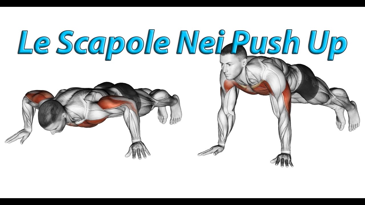 Le Scapole nei Push Up