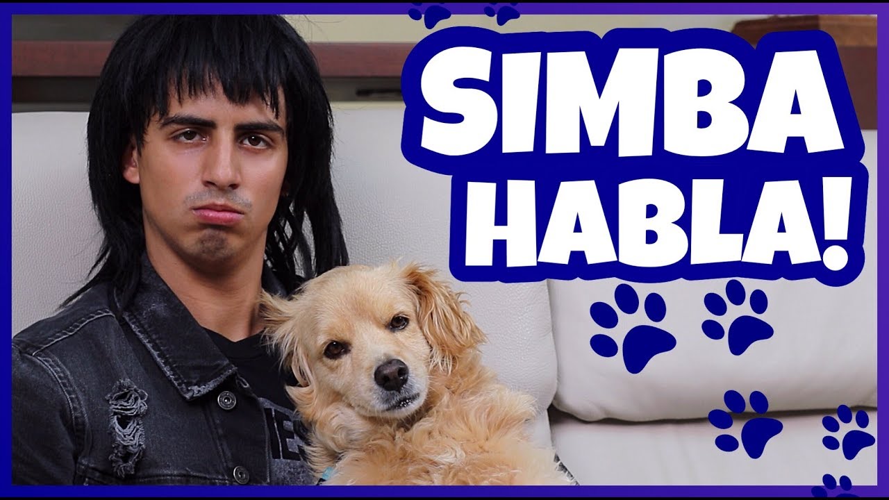 Daniel El Travieso - Mi Perro Simba Habló!
