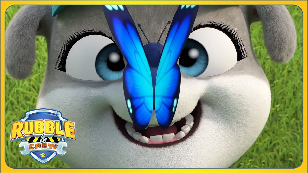 Butterfly Garden (Full Episode) | Rubble and Crew | Cartoons for Kids