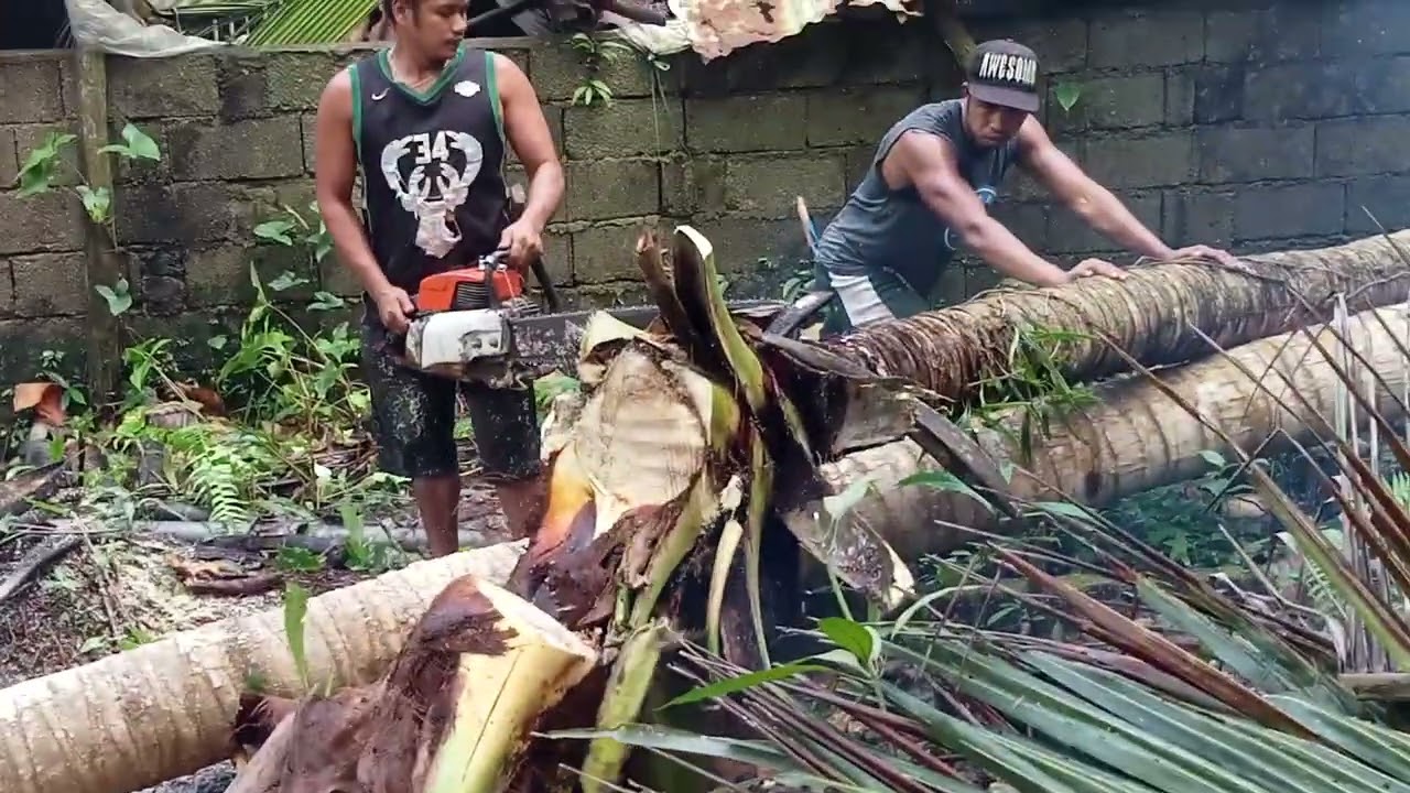 Napaka Delikado sa bahay at mga tao kya pinutol na#seafarer #food #seamanlifeatsea #cooking