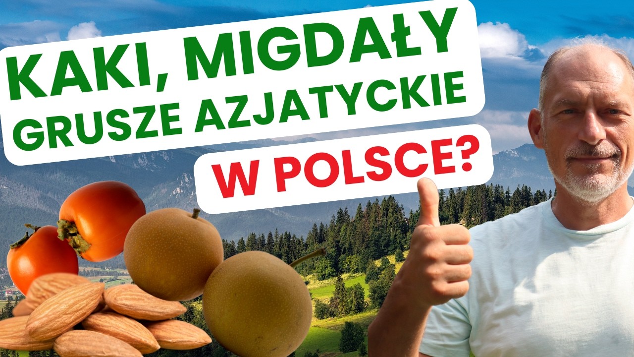 🍊 Poznaj nietypowe drzewa do TWOJEGO sadu (wizyta u PROFESJONALISTY) 🍈