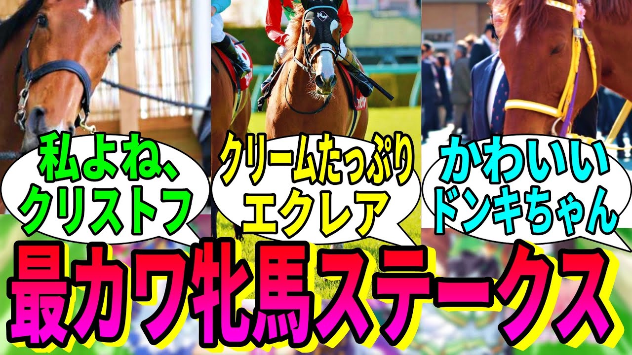 【競馬の反応集】「最カワ牝馬ステークス開催！」に対する視聴者の反応集