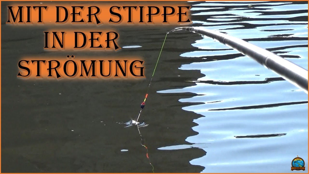 Mit der Stippe in der Strömung