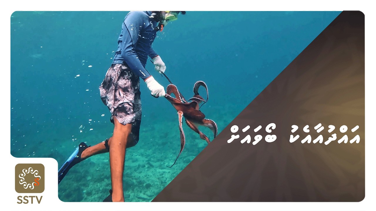 Adhdhu Aaeku Boava Ah