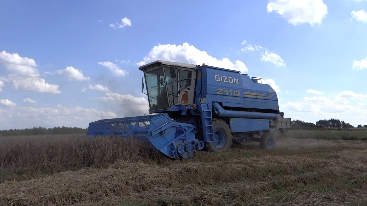 Bizon BS Z110