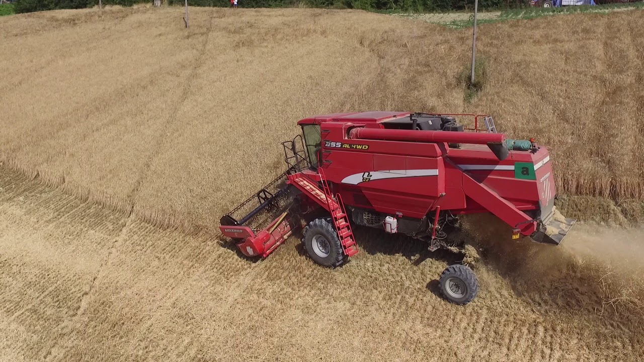 Mietitura grano 2017 Ripatransone da drone