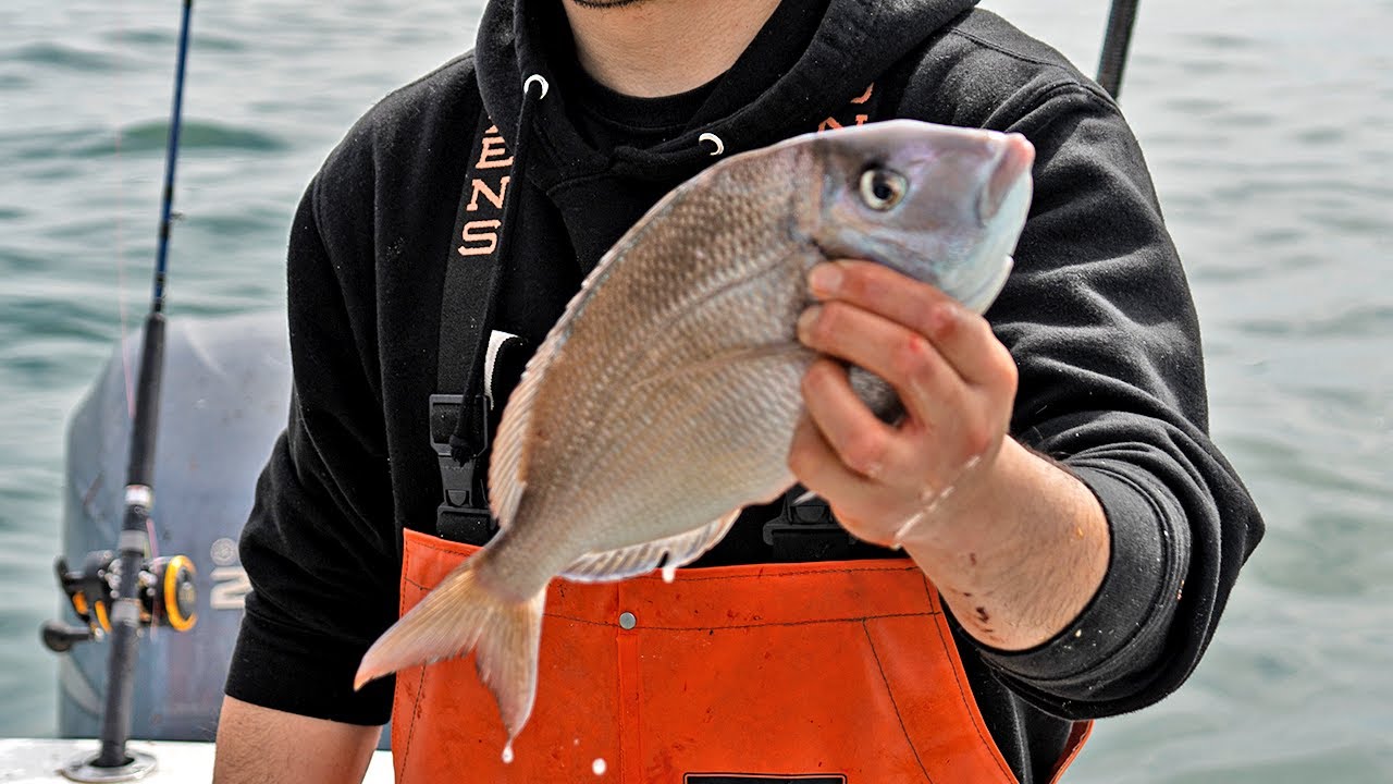 How Much Money Can You Make Fishing? Commercial Fisherman Day in the Life