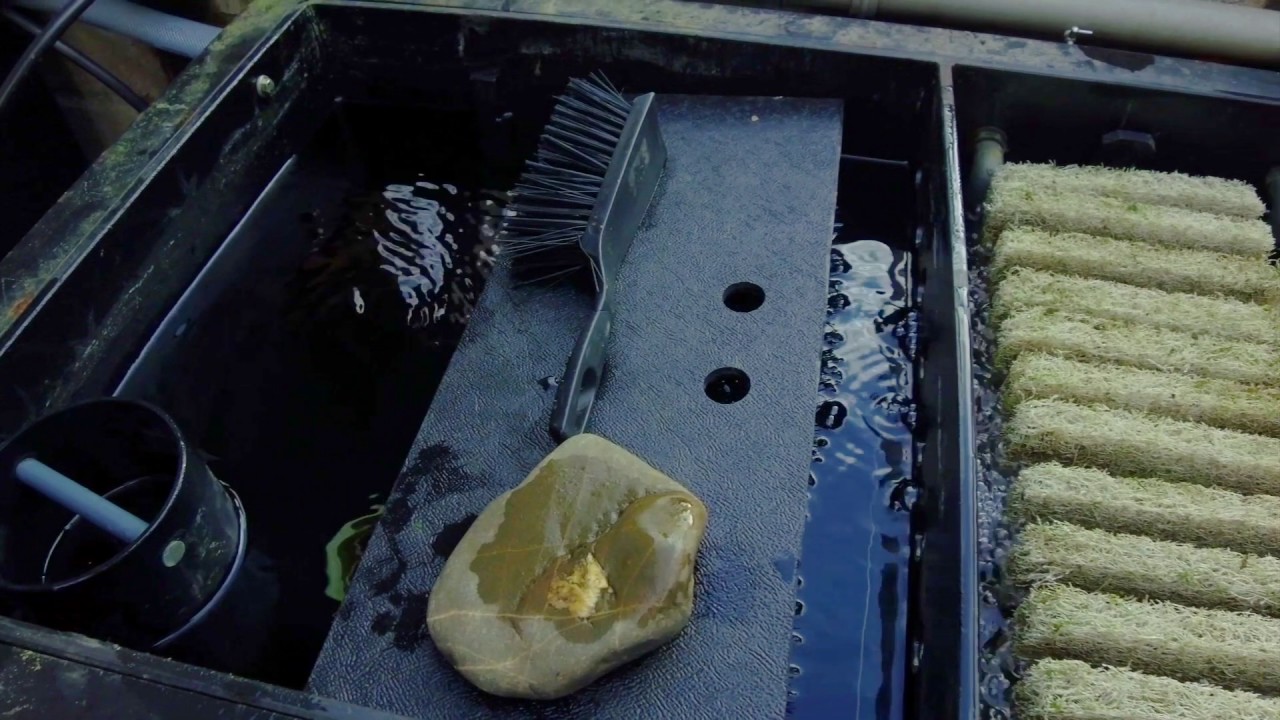 D.I.Y. Koi pond & filtration