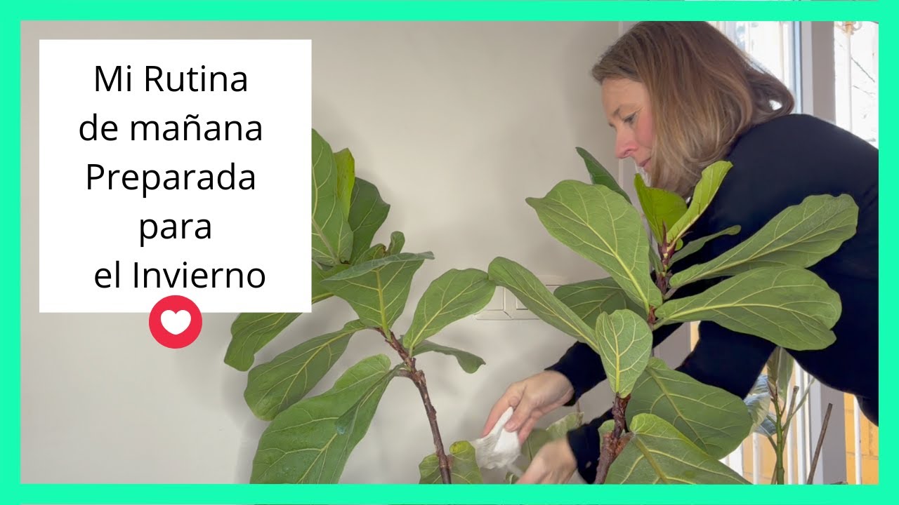 VLOG Rutina de mañana cuidando plantas | Cambio de Maceta
