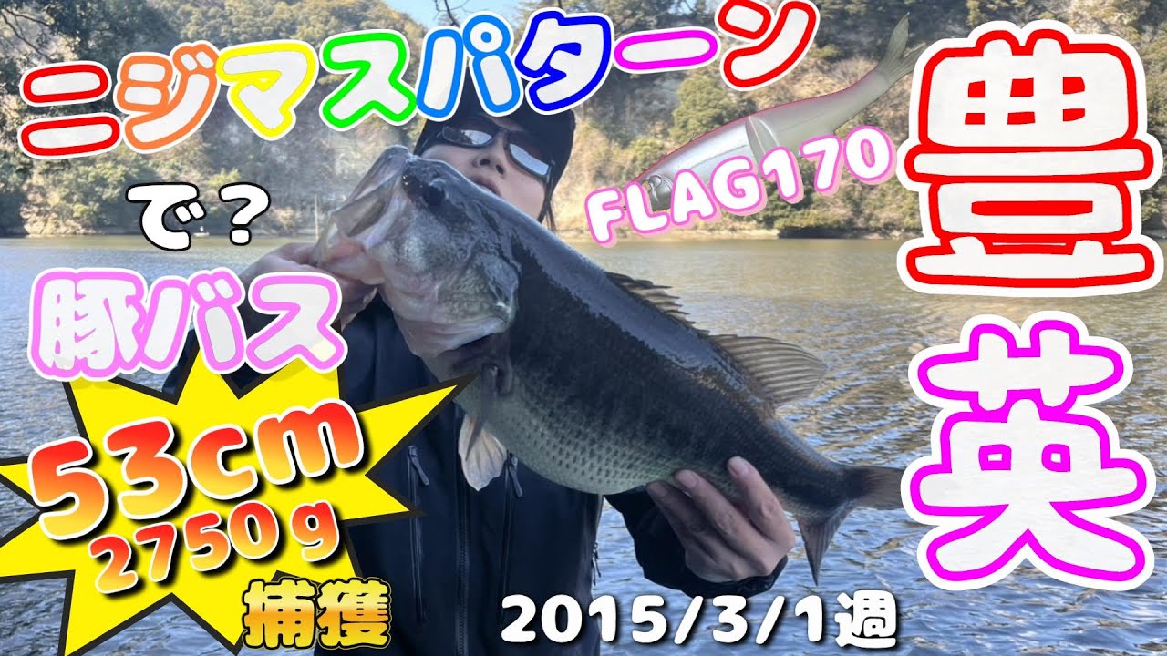 【豊英ダム】3月1週  ニジマスパターンを追いかけたら豚バス釣れた　＃3月バス釣り　＃フラッグ170　＃ジグスト　＃ブルフラット4.8　＃コンツァージグ