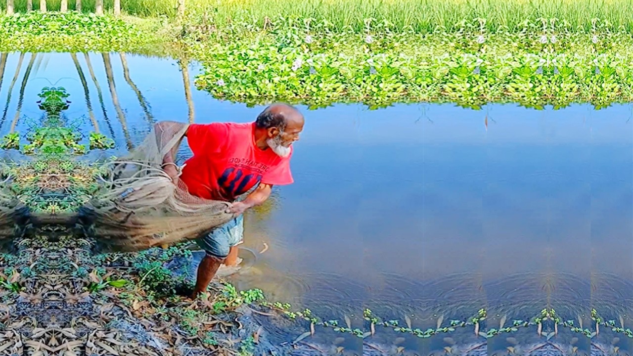 Village Life Fishing Video - Traditional Cast Net Video - Best Fishing Video