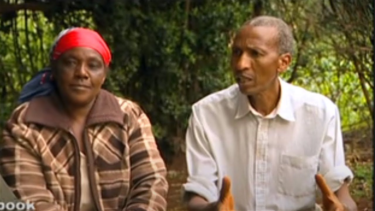 Shamba Shape Up Series 1 - Ep 7: Napier Grass, Growing Vegetables, Cow Care (English)