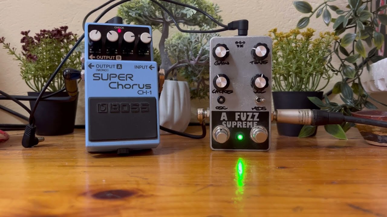 GATED FUZZ WITH CHORUS - A FUZZ SUPREME - CH-1 - The Pedal Chemist