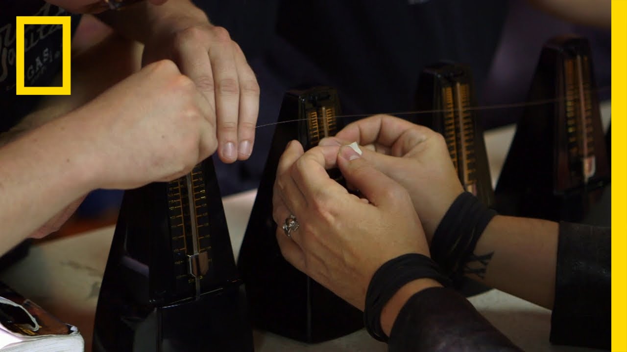 Tick Tock | National Geographic