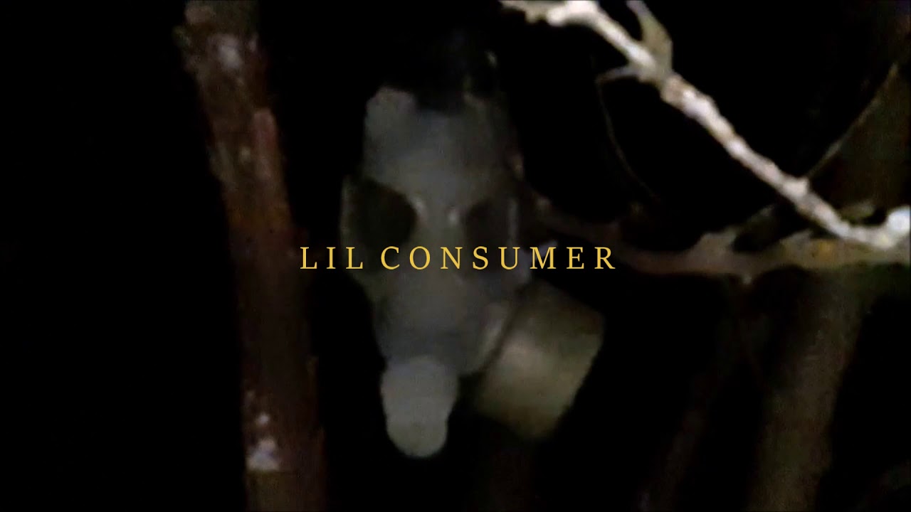 Lil Consumer - Vegan Bat Burger