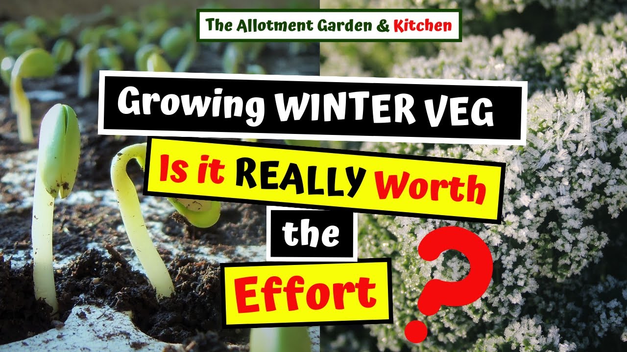 Growing Winter Vegetables in Autumn / Fall (Is it Worth it?) #132