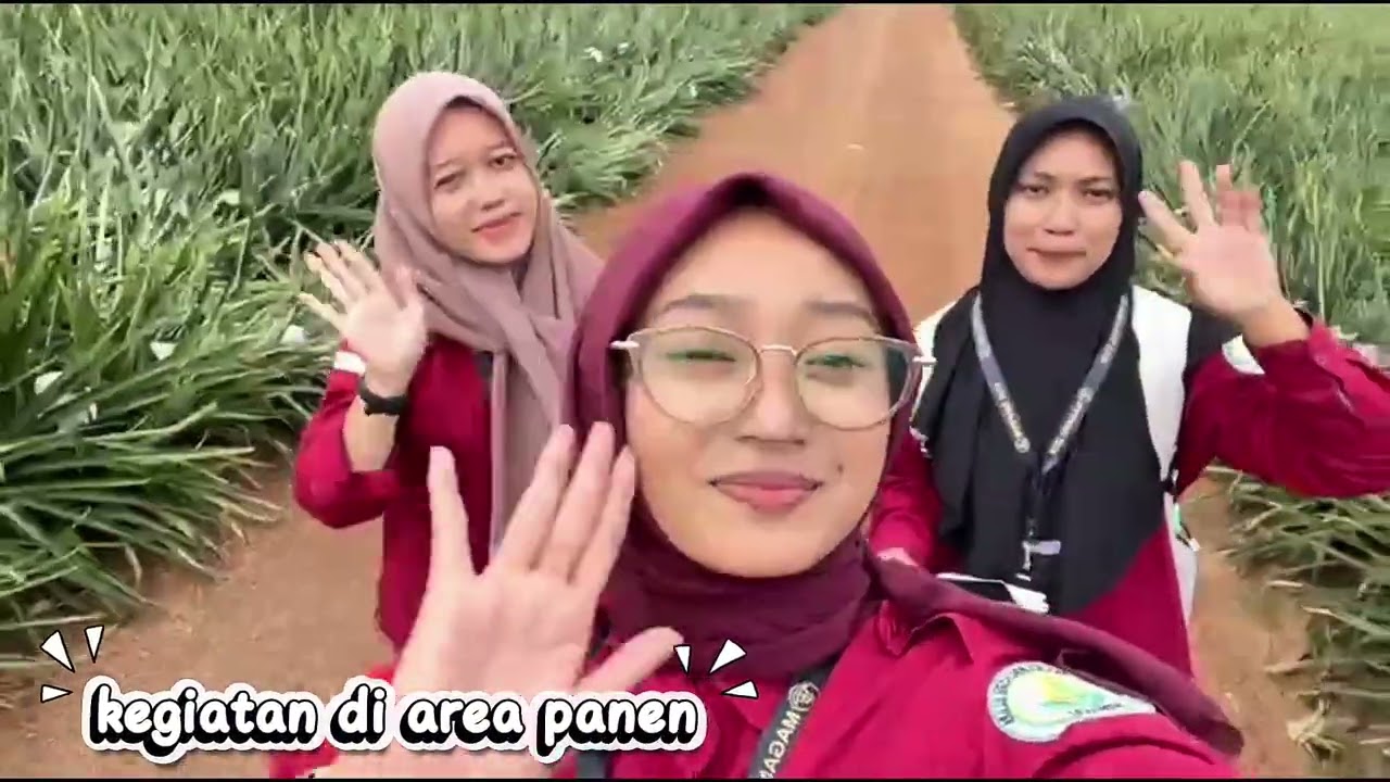 Kegiatan magang di PT GREAT GIANT PINEAAPLE ESTATE 4 | Periode 2026