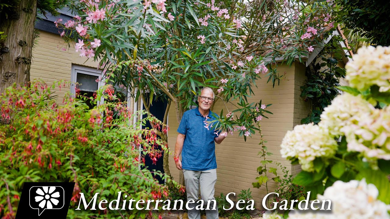 Wim Uilenbroek: Mediterranean Sea Garden
