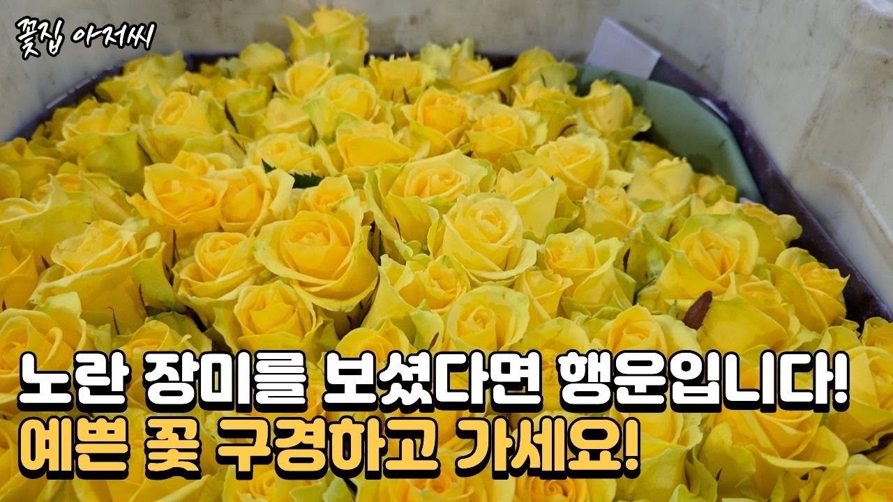 꽃 좋아하시나요? 세계 최초 유튜브 꽃시장! 예쁜 꽃 구경하고 가세요~ #flowers #꽃 #interior #인테리어 #인테리어소품 #집꾸미기