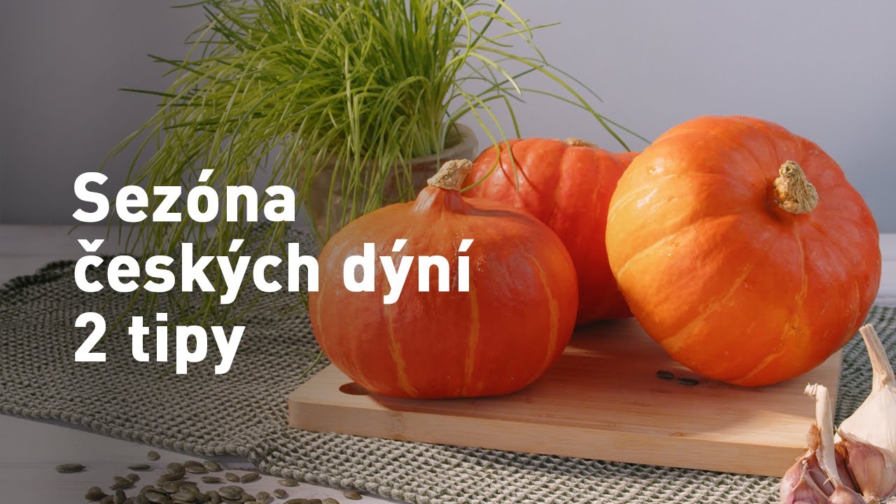 2 tipy z českých dýní