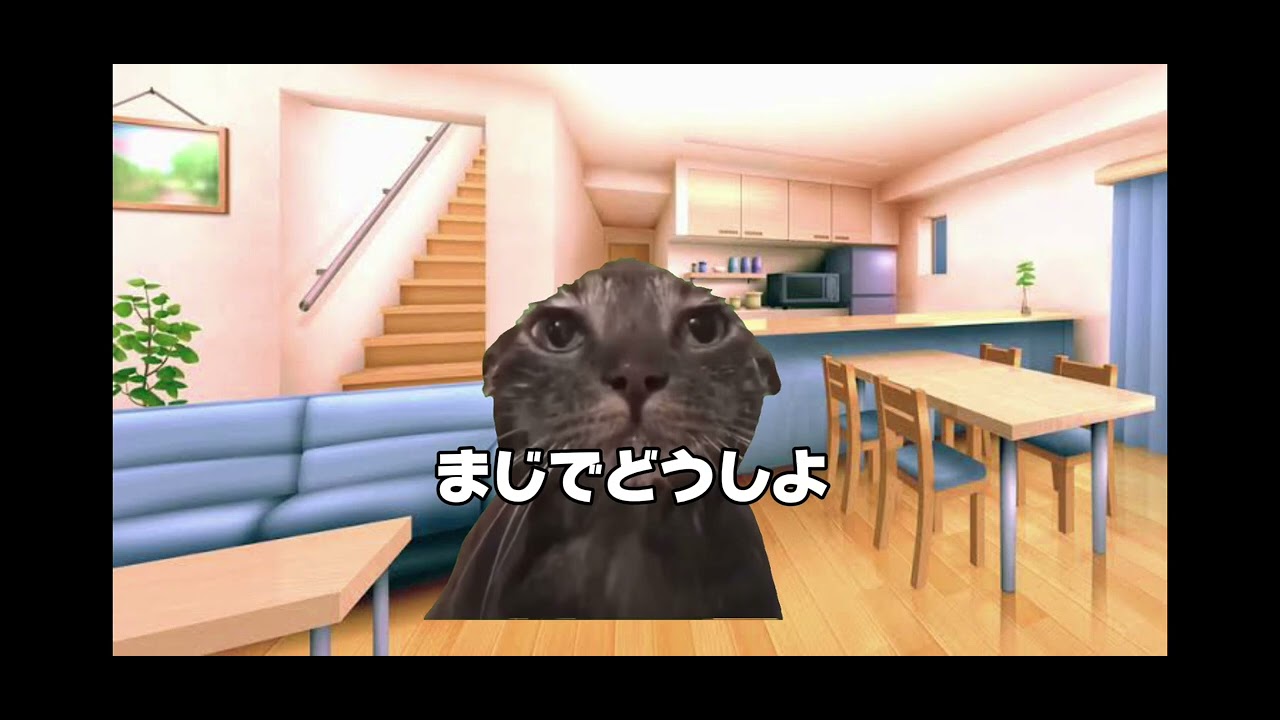 浪人して数学しか勉強しなかった男～浪人編～ #猫ミーム #浪人生 #大学受験
