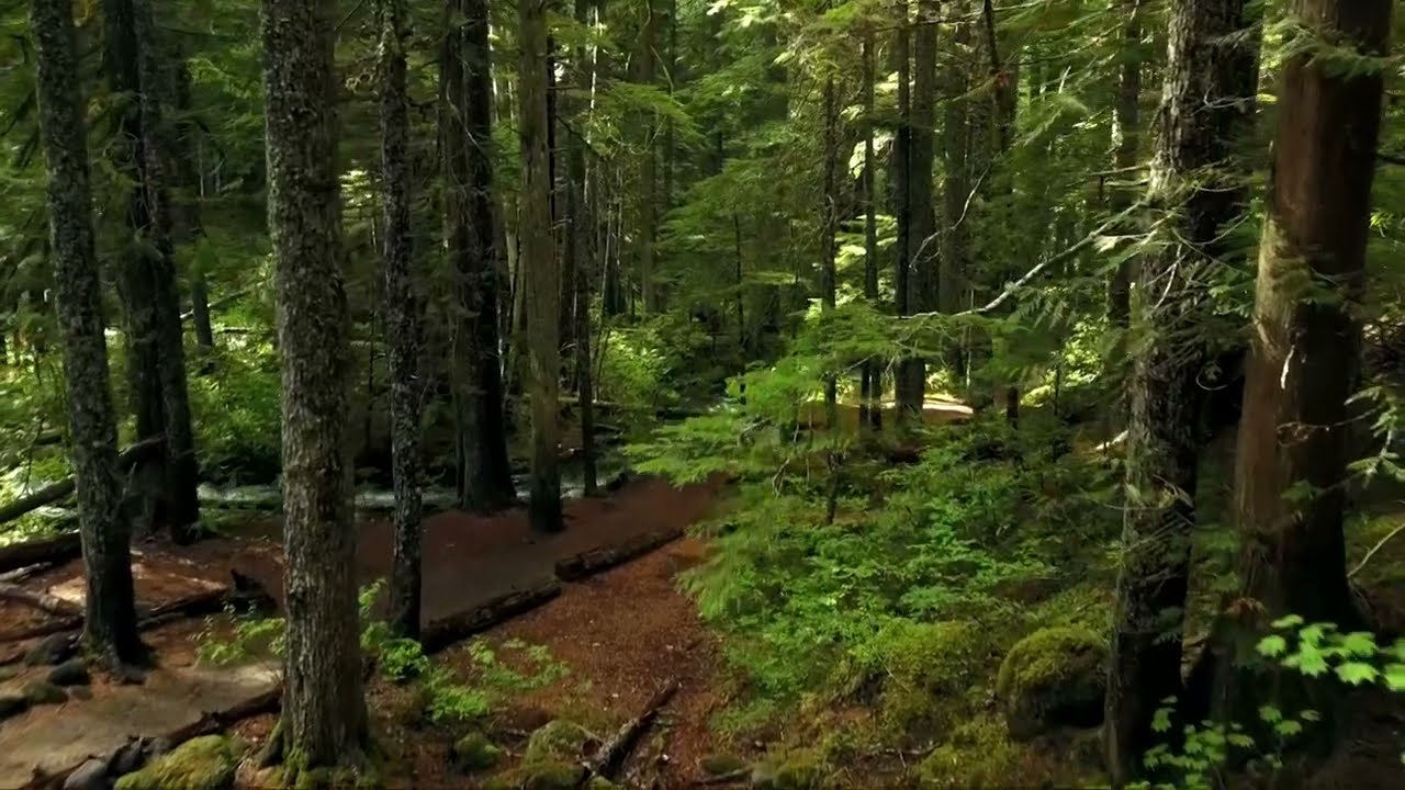 Most Interesting Facts About Nature