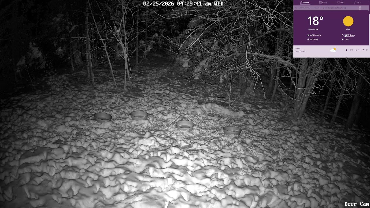 North Shore WildlifeCam