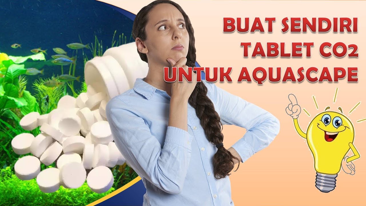 Tutorial Membuat Co2 Tablet I #co2tablet #co2tabletaquascape #co2tabletforaquarium #aquascape