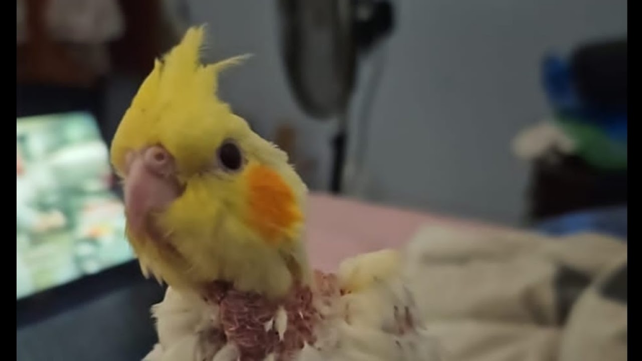 Live streaming of   Dr.Jaco,Official. pubg mobile