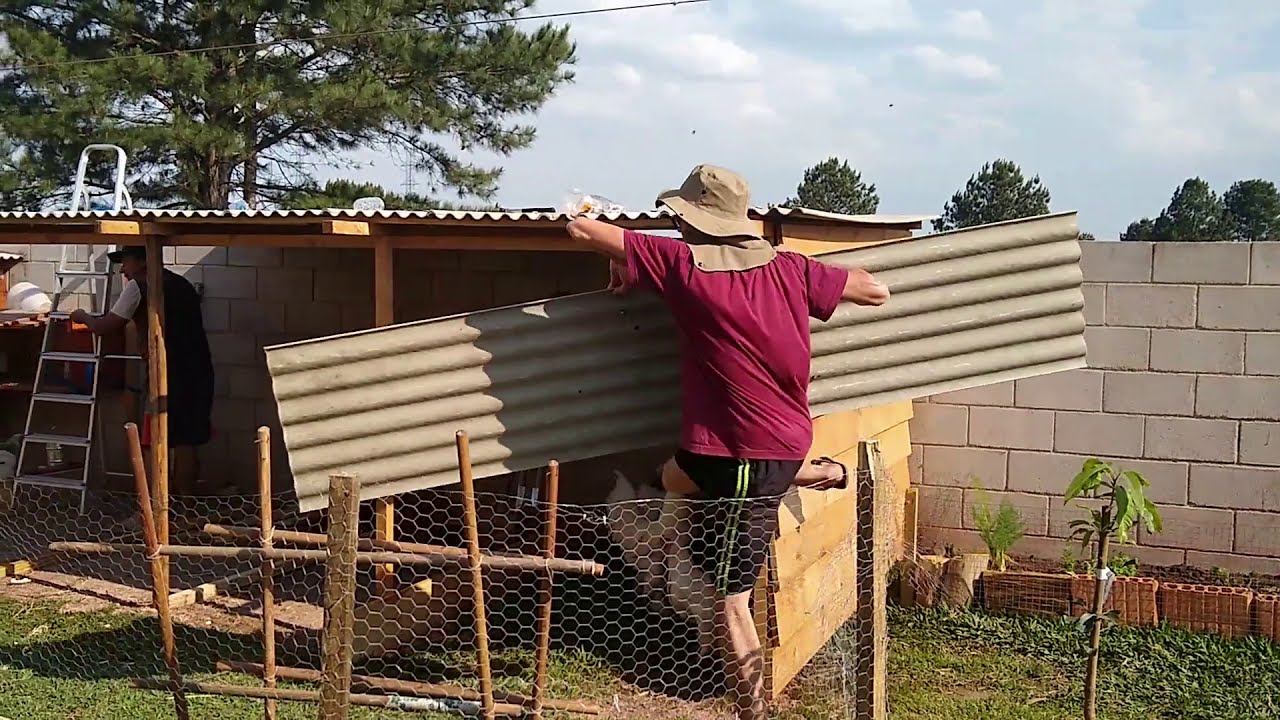 Galinheiro Em Quintal Pequeno - Baias para galinhas de raça - Aves Ornamentais