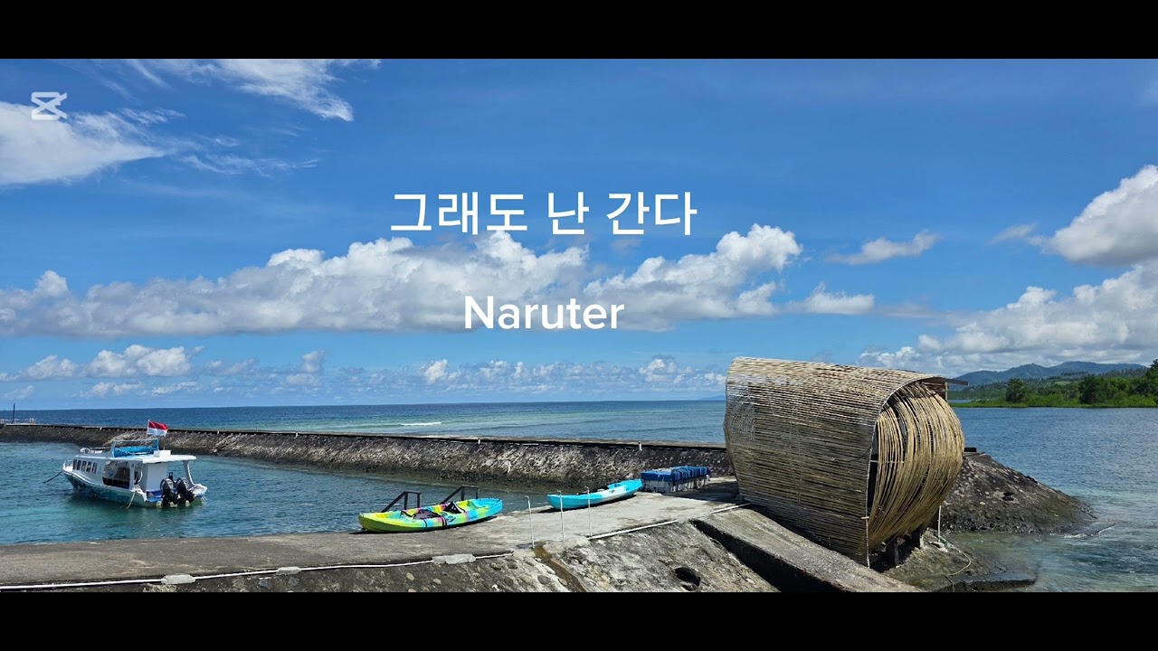 그래도 난 간다-Naruter(official Audio)