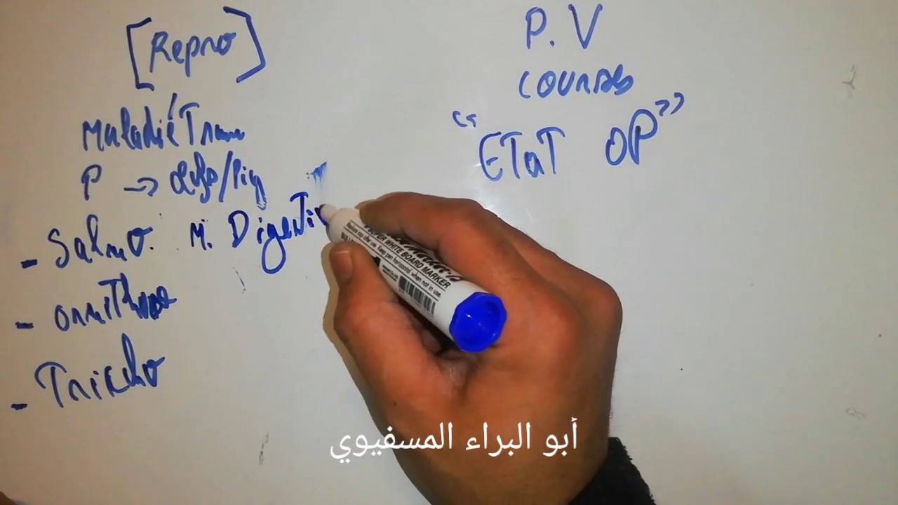 1 البلونشيمون عند الحمام و الطيور Résumé blanchiment