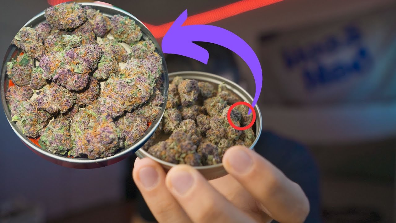 Smoking the PURPLEST Strain I've Ever Seen