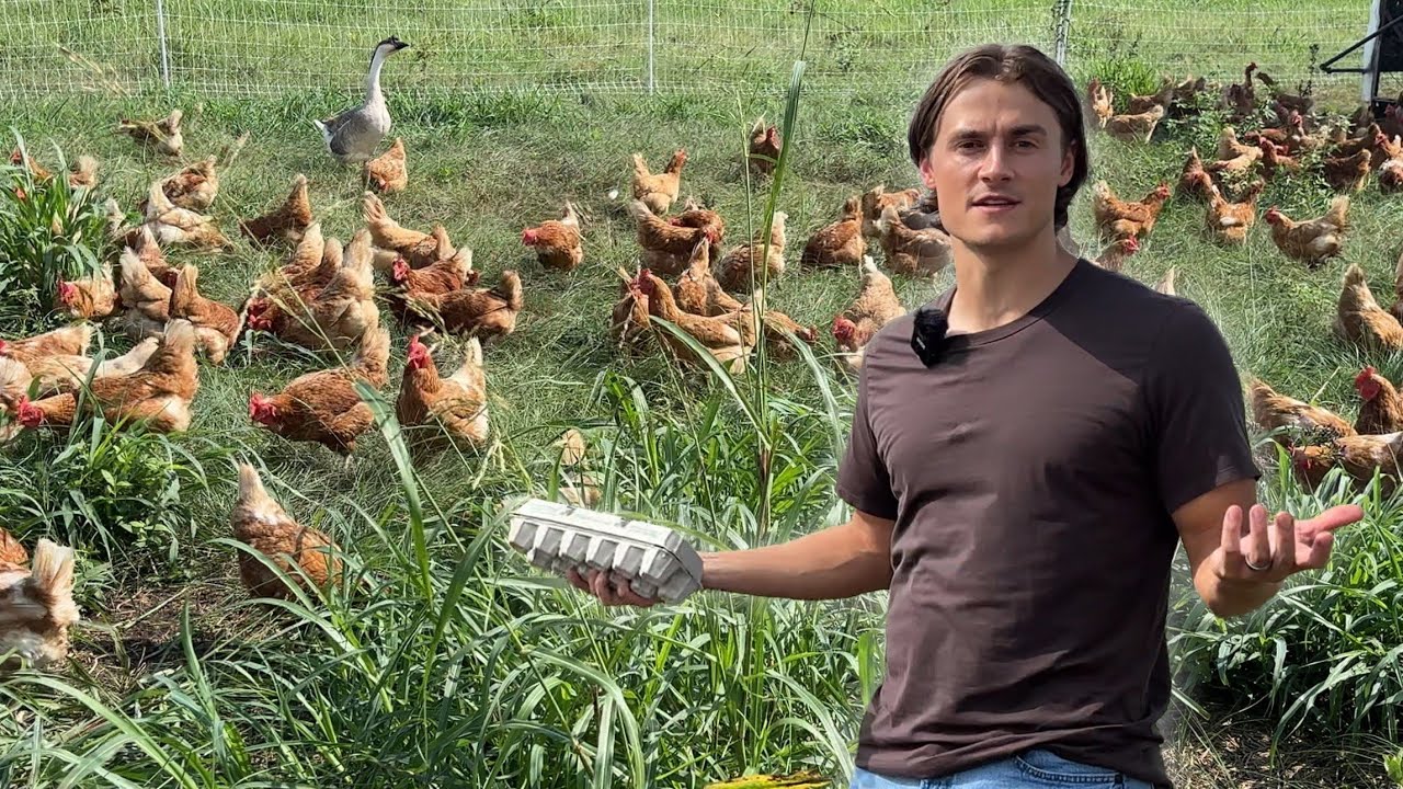 I Visited a True Pasture Raised Egg Farm to Learn the Truth Behind Eggs