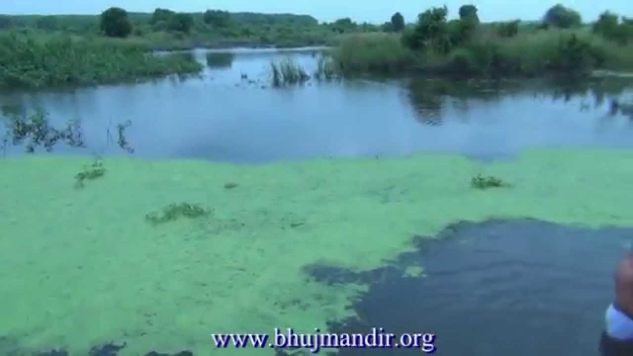 Manasarovar Kailash Muktinath Chhapaiya Yatra Darshan