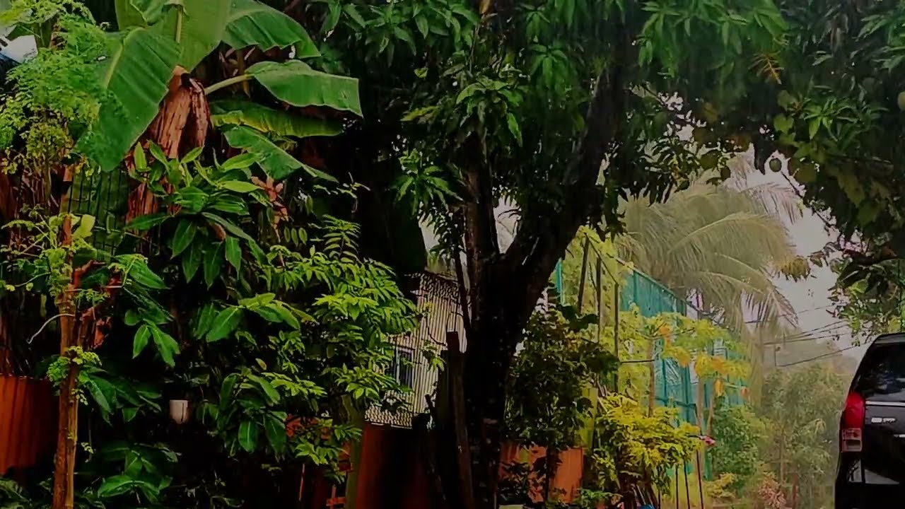Soothing Rain Sounds in the Village 🏠 | Sleep Well and Say Goodbye to Insomnia