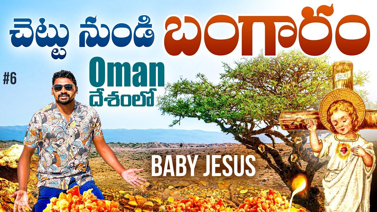 Beautiful Places In Salalah Oman 🇴🇲 | Frankincense | Farming | Uma Telugu Traveller