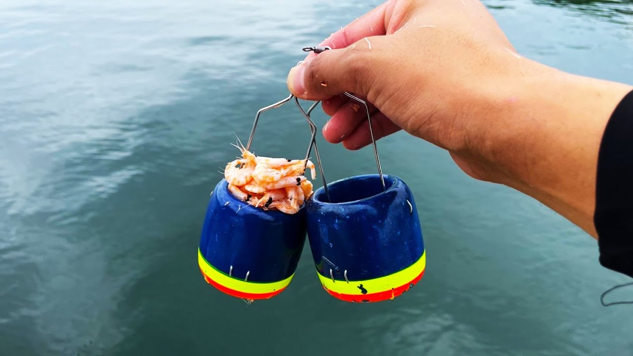 ウキとカゴが一体になった「タルカゴ」、山陰地方で人気を博するご当地カゴ釣りが面白い！