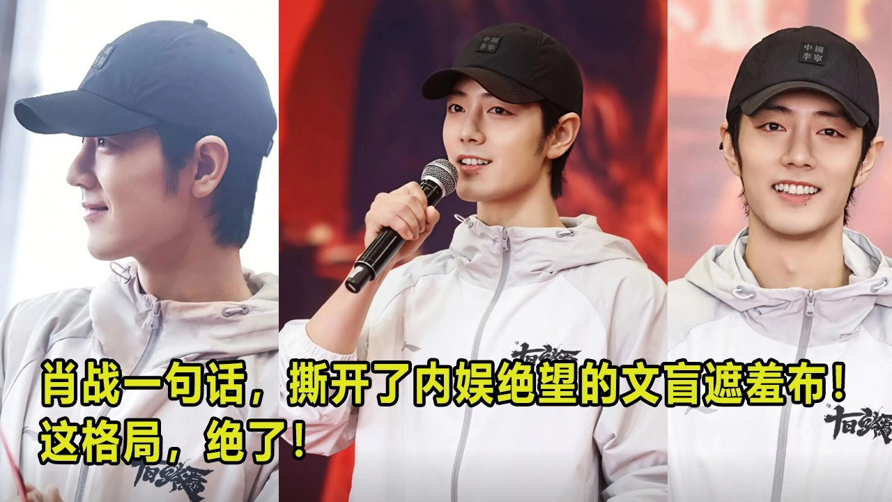 肖战一句话，撕开了内娱绝望的文盲遮羞布！这格局，绝了！