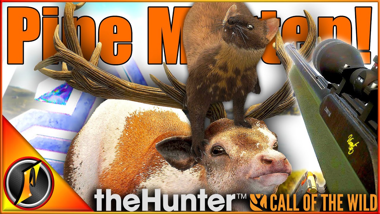 DIAMOND Pine Marten Redemption?!? + Piebald Stag! | theHunter Call of the Wild