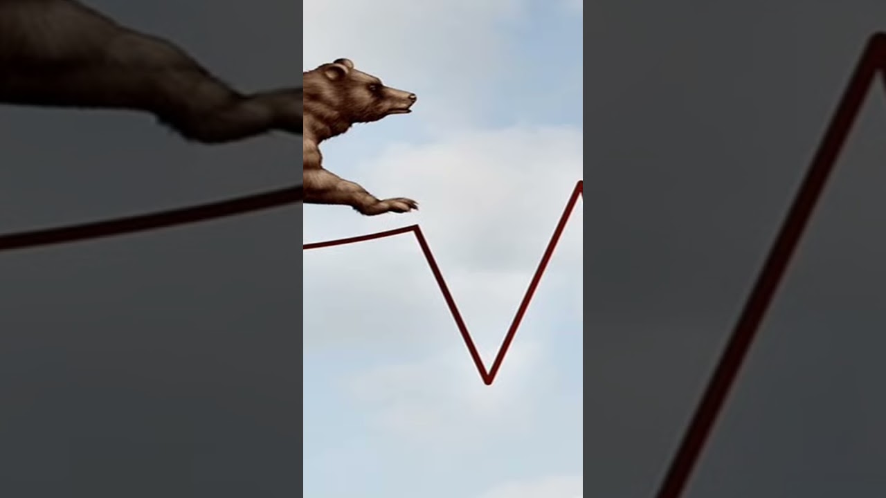 Real Bear Market #pangusanthai #pangusandhai #investing #tamilfinance #financeintamil #passiveincome