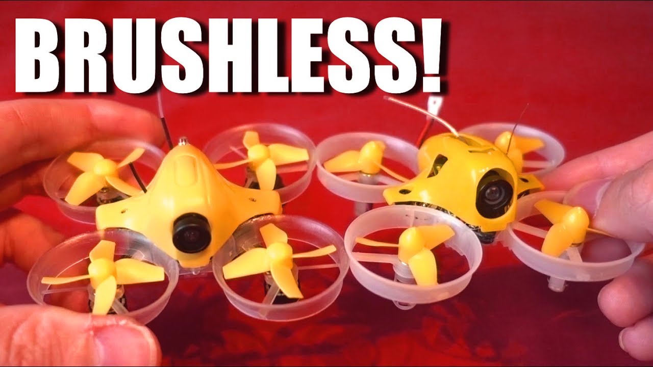 Real Brushless Tiny Whoop!