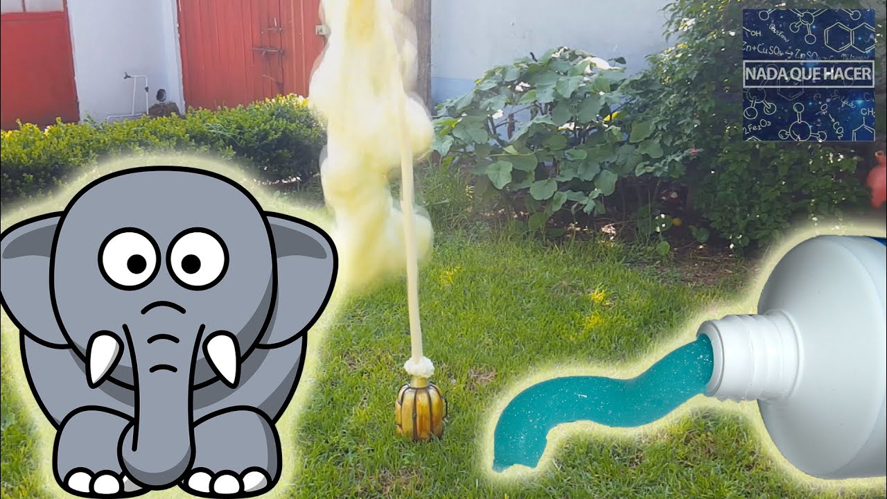 Pasta de dientes para Elefante ¡Explosiva! | NQUEH