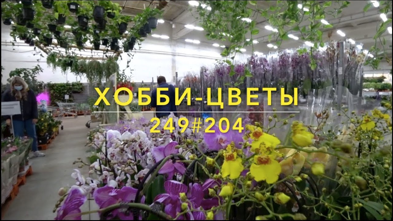 249#204 / Хобби Цветы / 10.2020 — Флоревиль. ЧАСТЬ 1