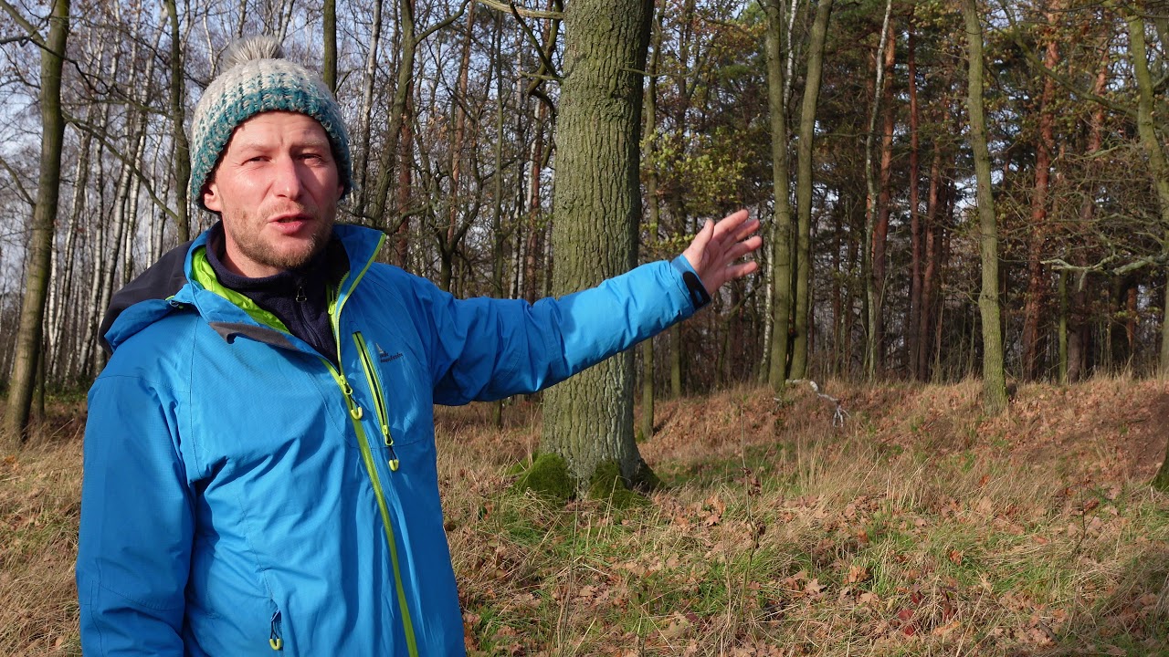 Die 3 Bomben-Trichter von Kaschwitz im Wald aus dem 2. Weltkrieg