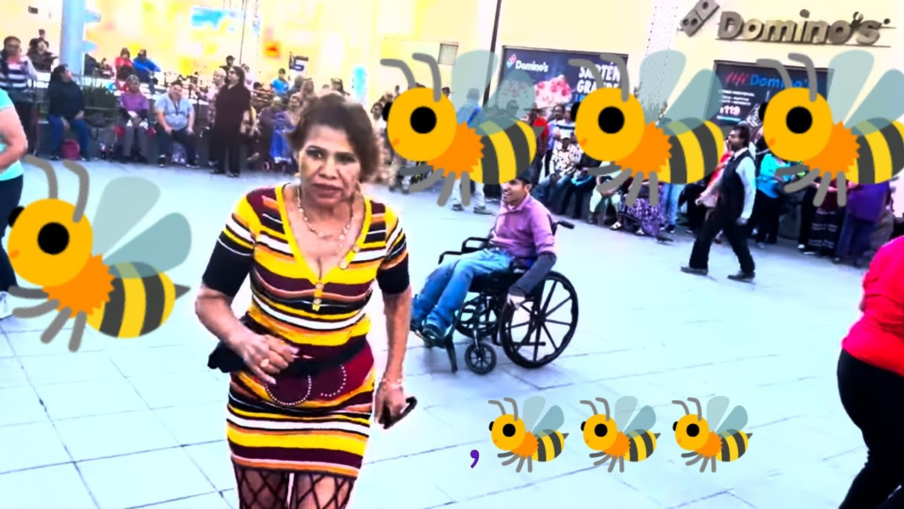 Carmela 👸 es la Abeja miope🎵 🐝 y enamorada❤️ de un Zancudo😲 loco, loco🤠