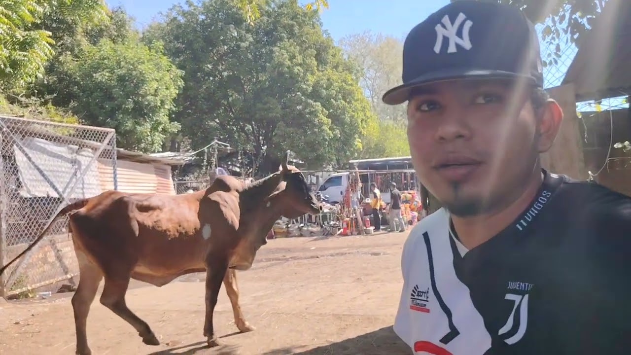 Cuidado con Los Animales Bravos en San Miguel El Salvador On 